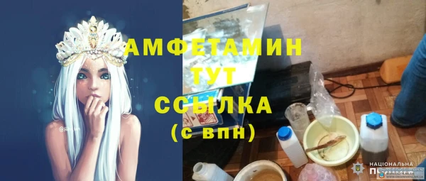 стаф Богданович