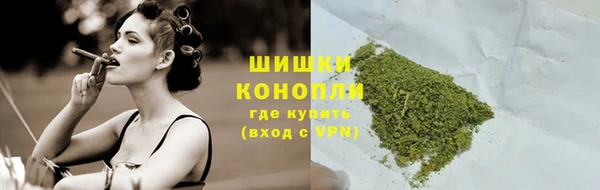 стаф Богданович