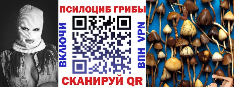 нарко площадка наркотические препараты магазин Мытищи Галлюциногенные грибы прущие грибы