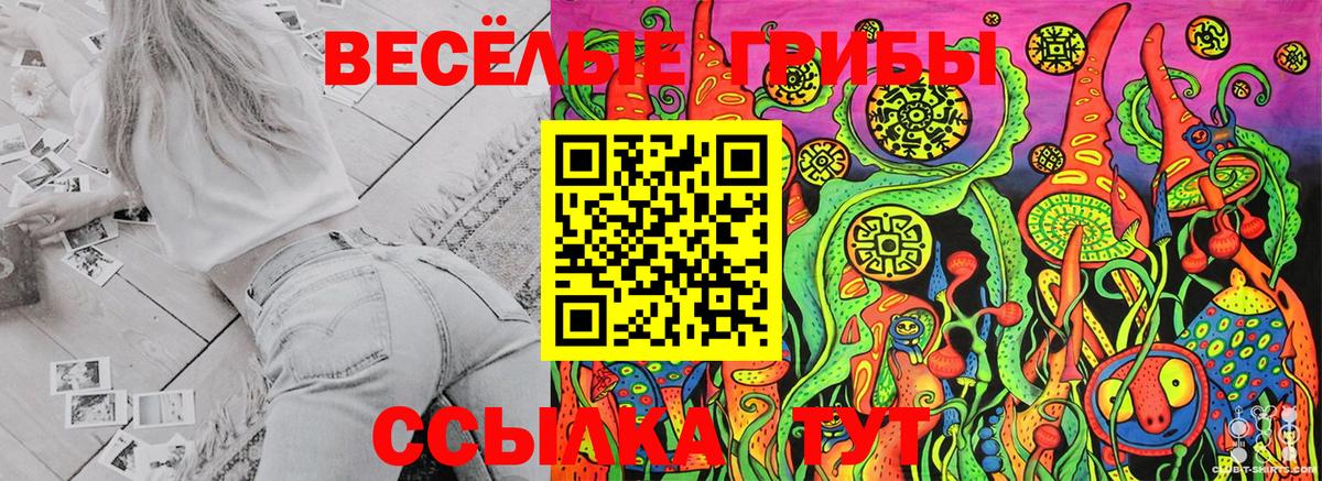 Галлюциногенные грибы ЛСД Мытищи