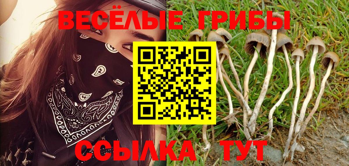 Псилоцибиновые грибы мухоморы  где можно купить   Мытищи  Галлюциногенные грибы прущие грибы 