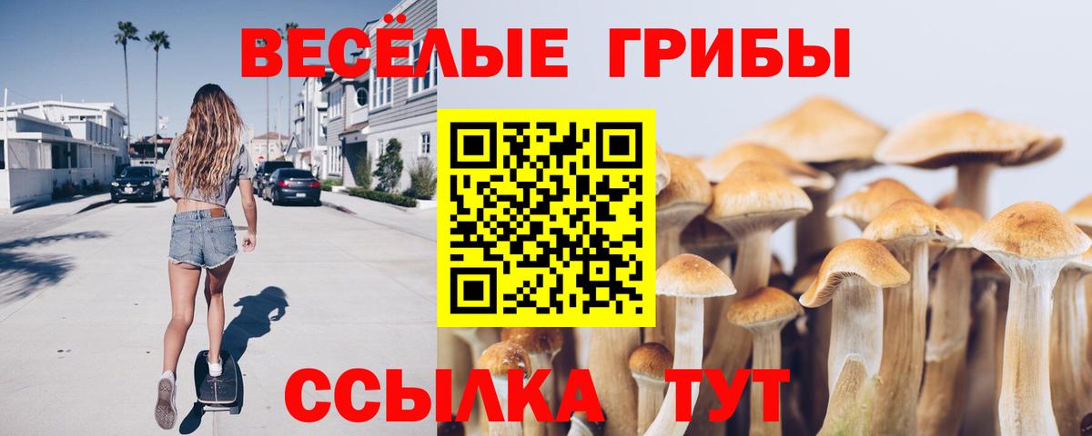Мытищи  Псилоцибиновые грибы мицелий  Вход с VPN 