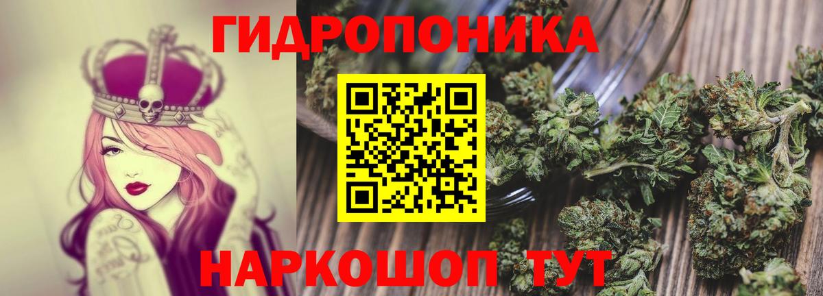 Бошки марихуана индика Мытищи